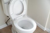 toilet, lavatory, toilet bowl, urine, urine