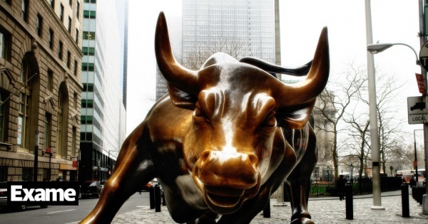 Is the small investor taming the bull?
