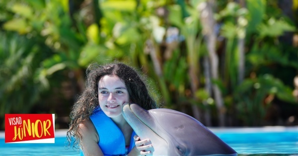 Our reader won and went swimming with the dolphins!