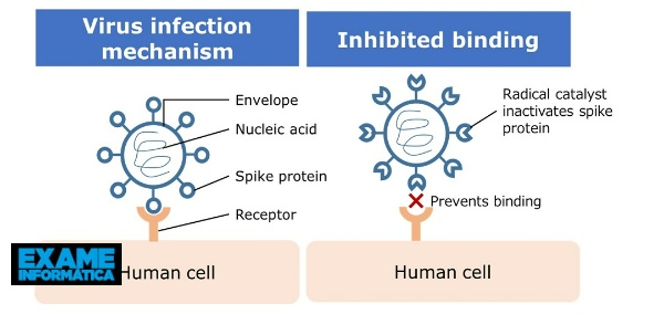 Nissan creates solution that uses active catalyst species to inactivate viruses