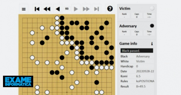 Go Trick Tricks Artificial Intelligence Systems, But Not Human Amateur Players