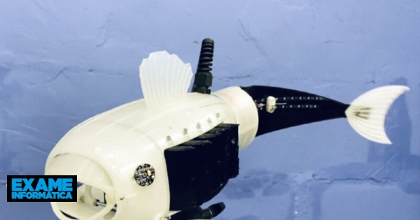 Open source robotic fish is collecting microplastics in English lakes