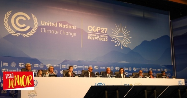 COP27: countries meet to try to stop climate change